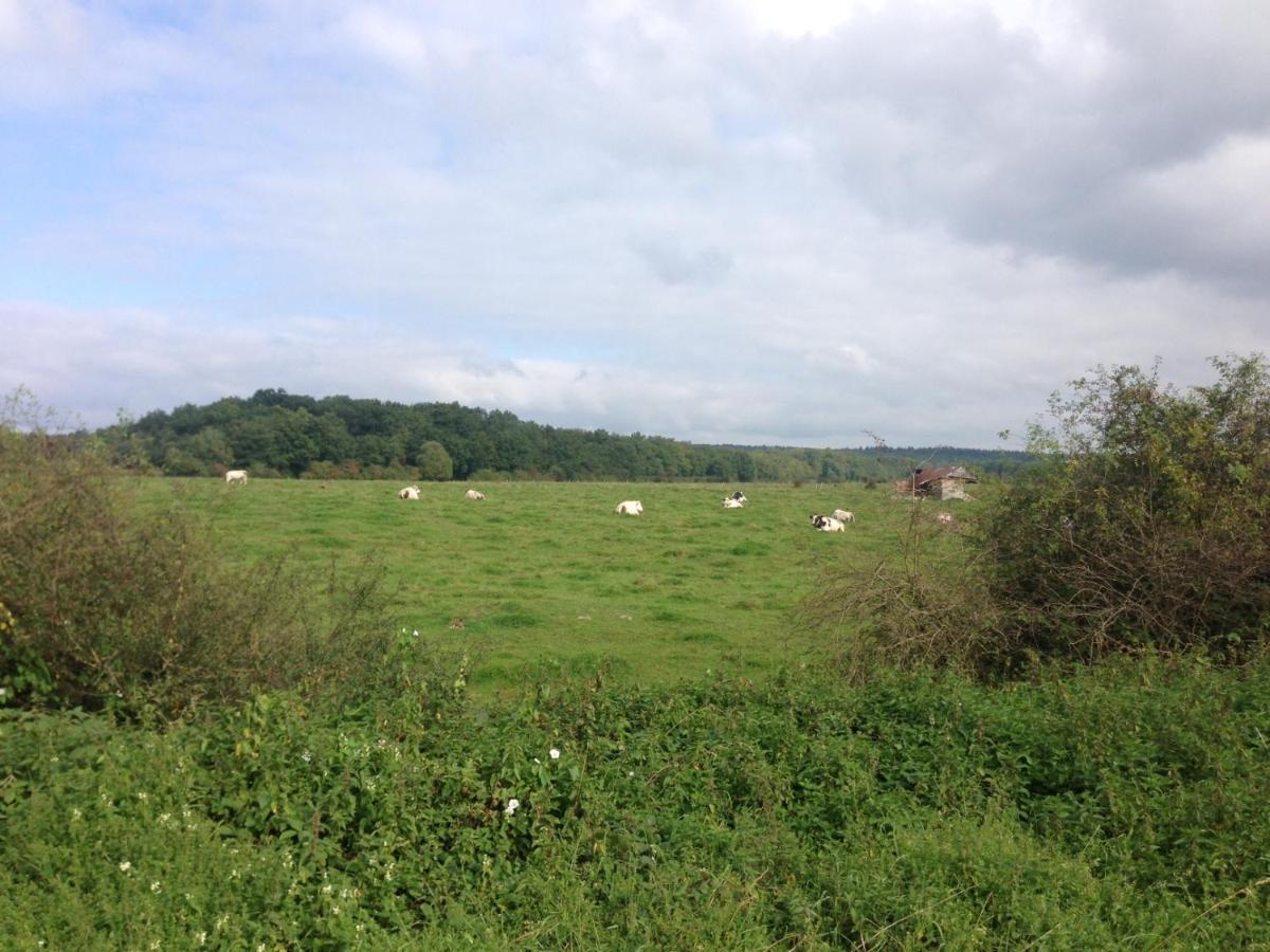 Ferme Houard Bed and Breakfast Bomal Buitenkant foto